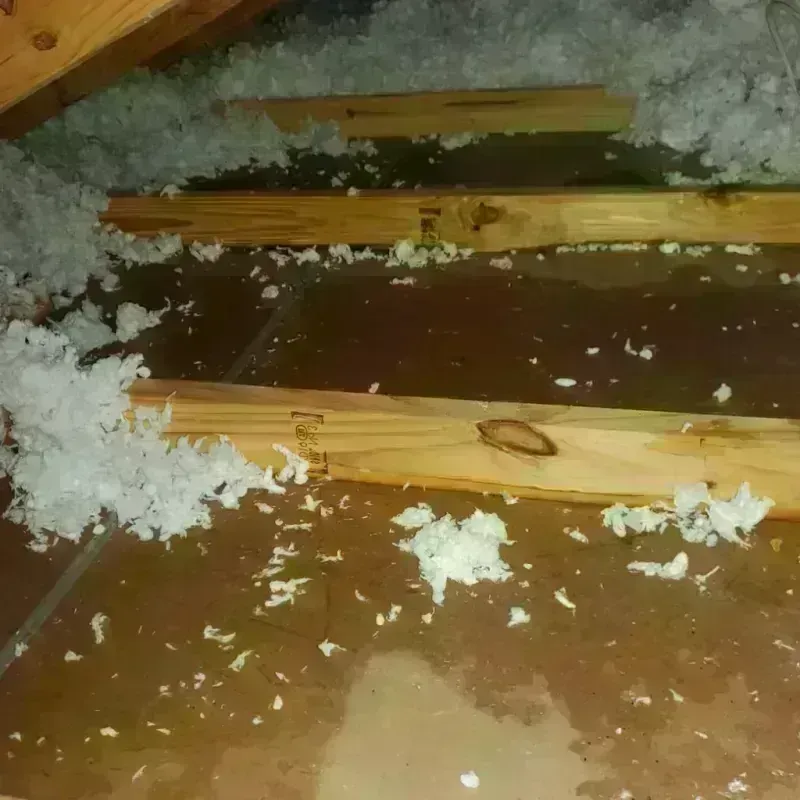 Attic Water Damage in Rogers, TX