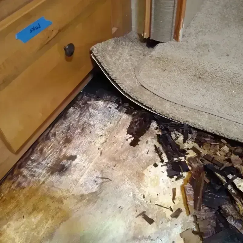 Wood Floor Water Damage in Rogers, TX